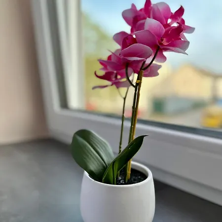 Modernes Am Dreilaendereck ألسدورف