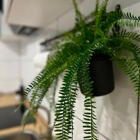 Modernes Am Dreilaendereck Daire *