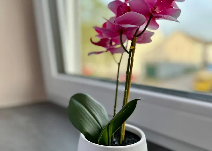 Modernes Am Dreilaendereck Alsdorf