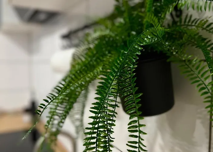 Modernes Am Dreilaendereck Apartamento *